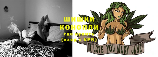 сатива Бронницы