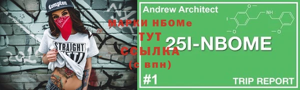 2c-b Бородино