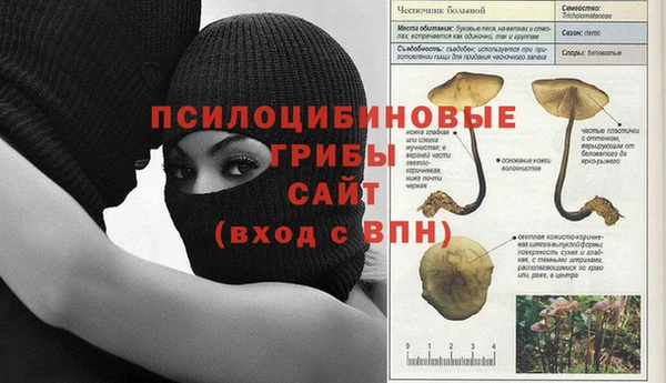 сатива Бронницы