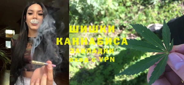 сатива Бронницы
