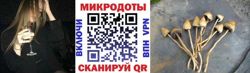 Галлюциногенные грибы Psilocybine cubensis  Вилючинск 